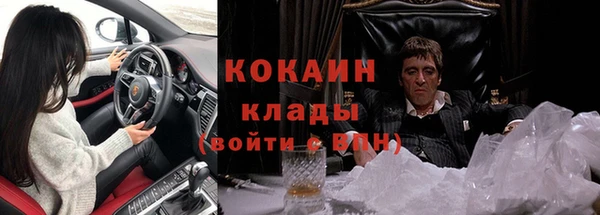 spice Осинники
