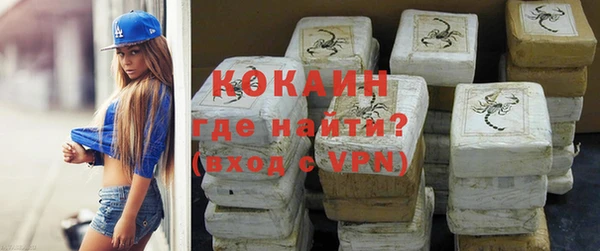 spice Осинники