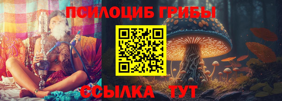 Ртищево  Галлюциногенные грибы MAGIC MUSHROOMS  Вход с VPN 